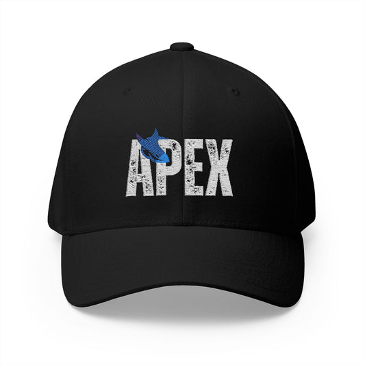 Apex Embroidered Cap - Structured Black Hat for Casual Style